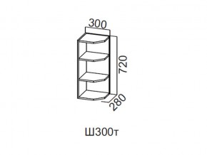 Ш300т/720 Шкаф навесной 300/720 (торцевой) в Нягани - nyagan.magazin-mebel74.ru | фото