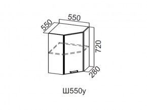 Ш550у/720 Шкаф навесной 550/720 (угловой) в Нягани - nyagan.magazin-mebel74.ru | фото