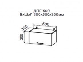 Шкаф верхний ДПГ500 горизонтальный в Нягани - nyagan.magazin-mebel74.ru | фото
