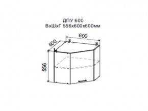Шкаф верхний ДПУ600 угловой в Нягани - nyagan.magazin-mebel74.ru | фото
